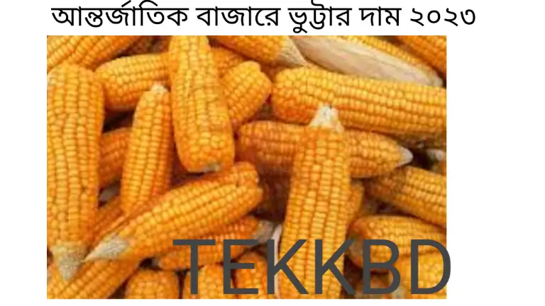 আন্তর্জাতিক বাজারে ভুট্টার দাম ২০২৩ 