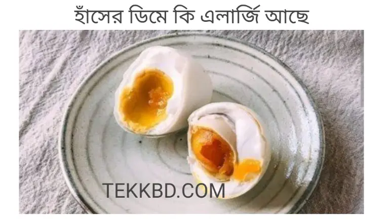 হাঁসের ডিমে কি এলার্জি আছে 