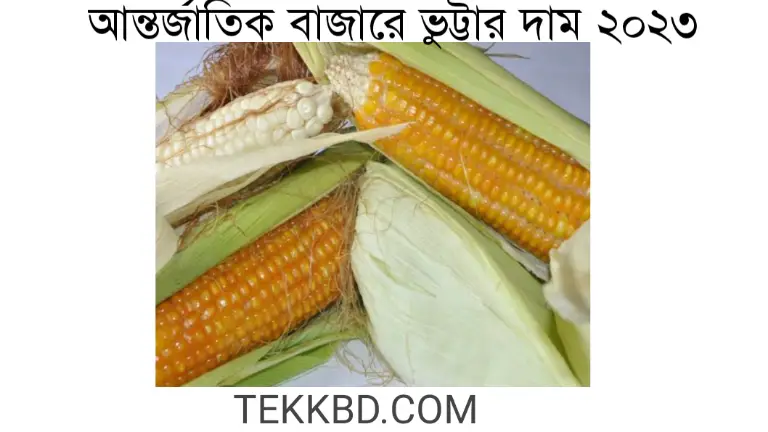 আন্তর্জাতিক বাজারে ভুট্টার দাম ২০২৩